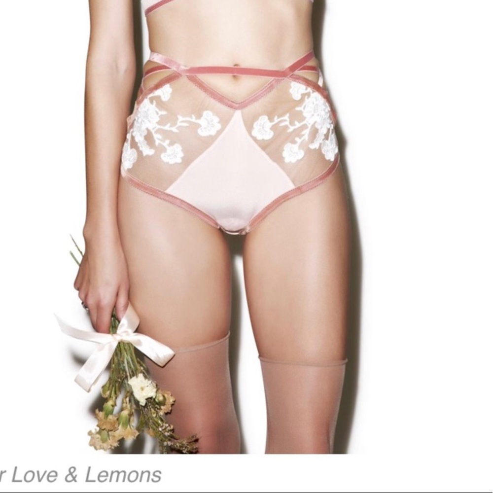 🆕 FL&L Darla side laced panty in Blush size L